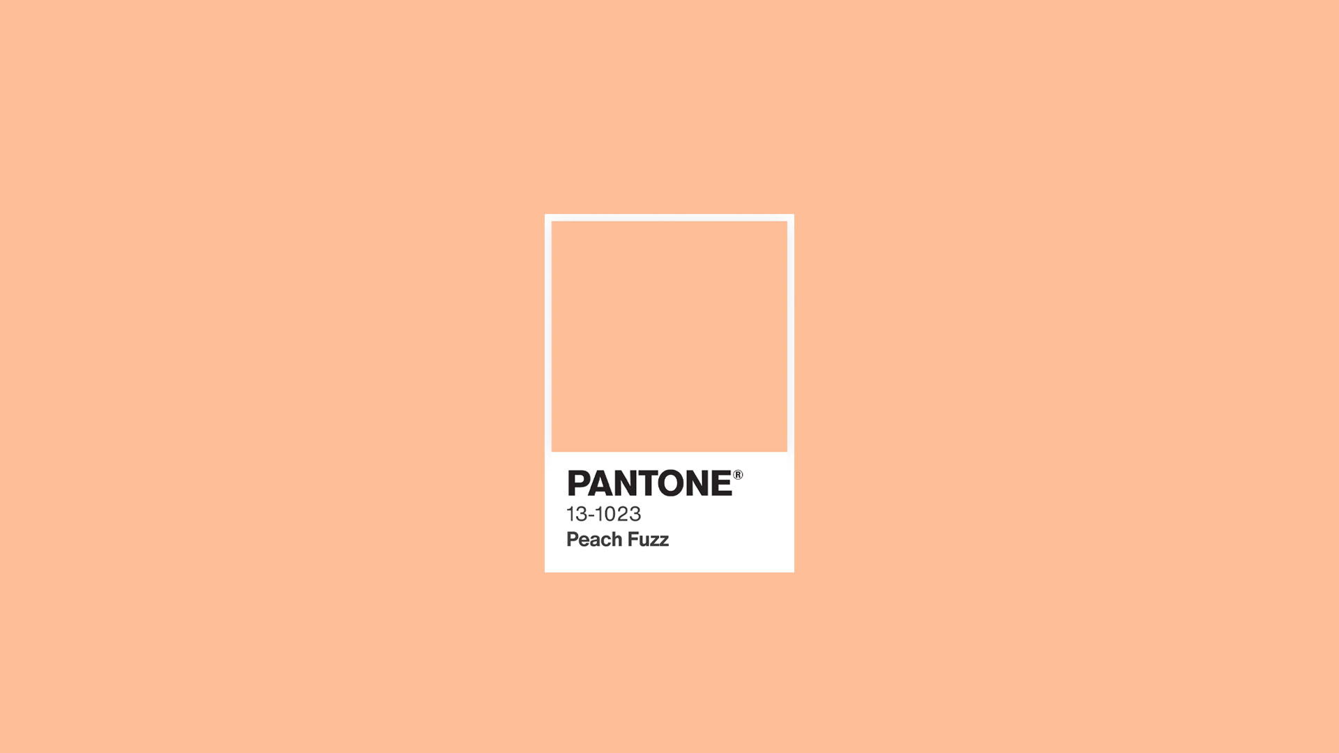 Pantone® apresenta Peach Fuzz como a cor do ano para 2024.